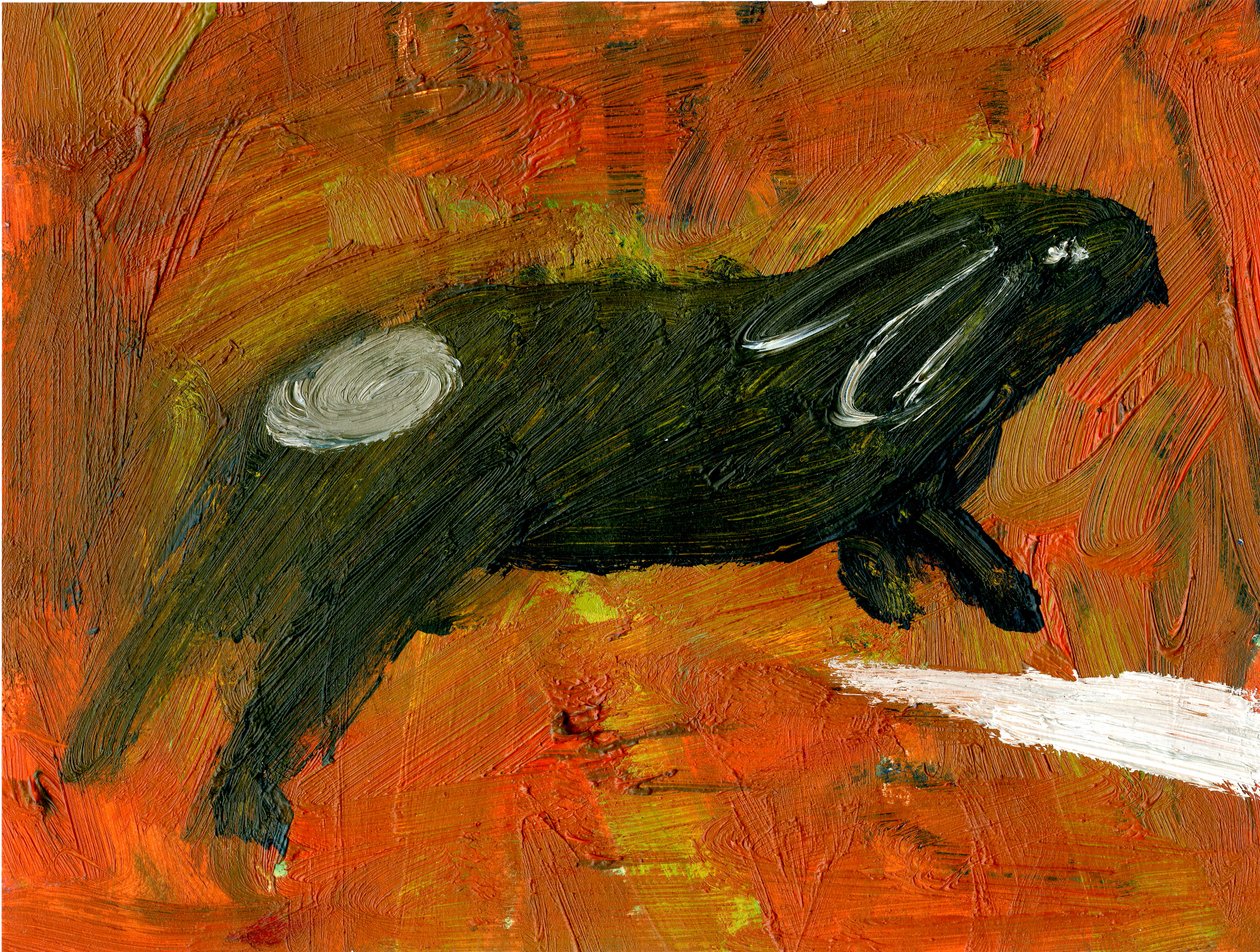 Rabbit, 2005 by Gigi Sudbury