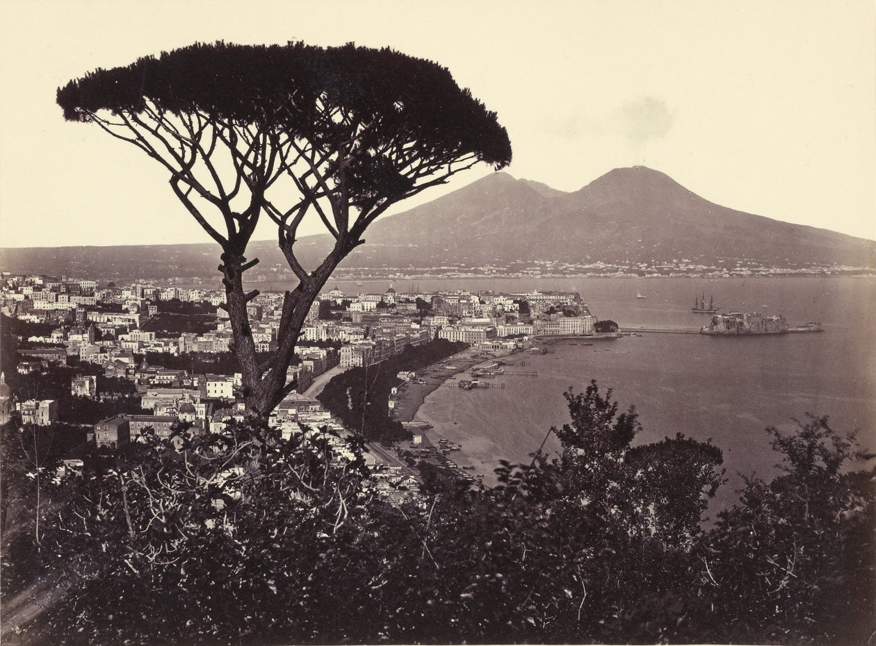 Panorama of Vomero with Pine Tree by Giorgio Sommer