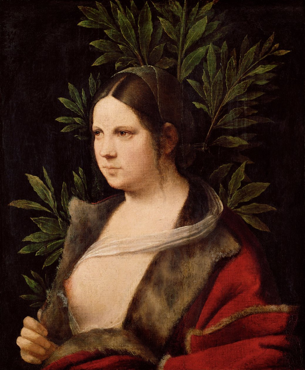 Young Woman Laura, 1506 by Giorgione da Castelfranco