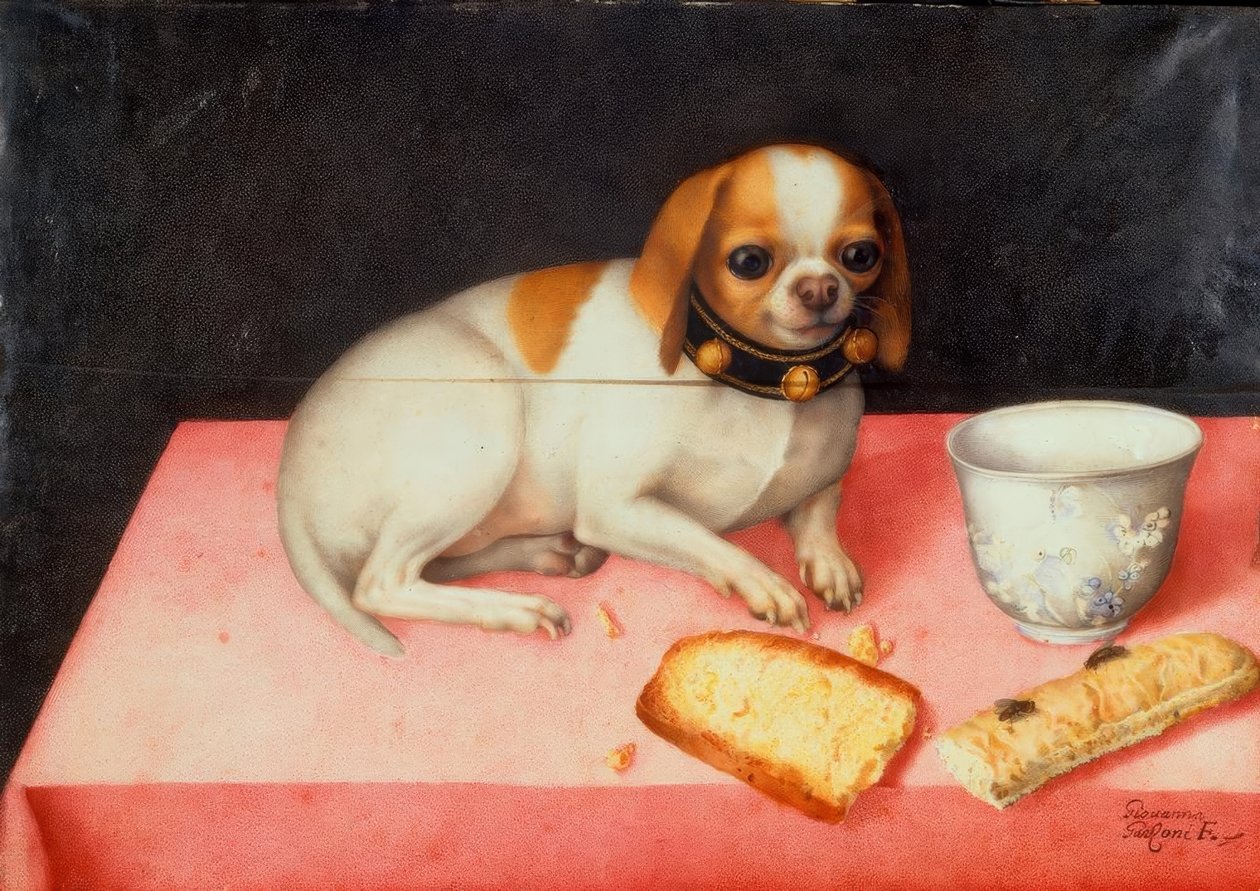 Little Dog with Bread Slice by Giovanna Garzoni