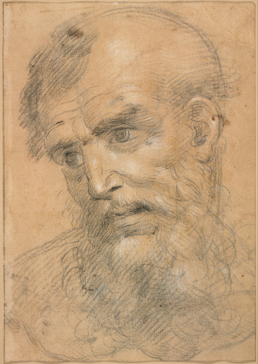 Head of a Bearded Man (recto); Study for a Sacra Conversazione (verso) by Giovanni Antonio Sogliani