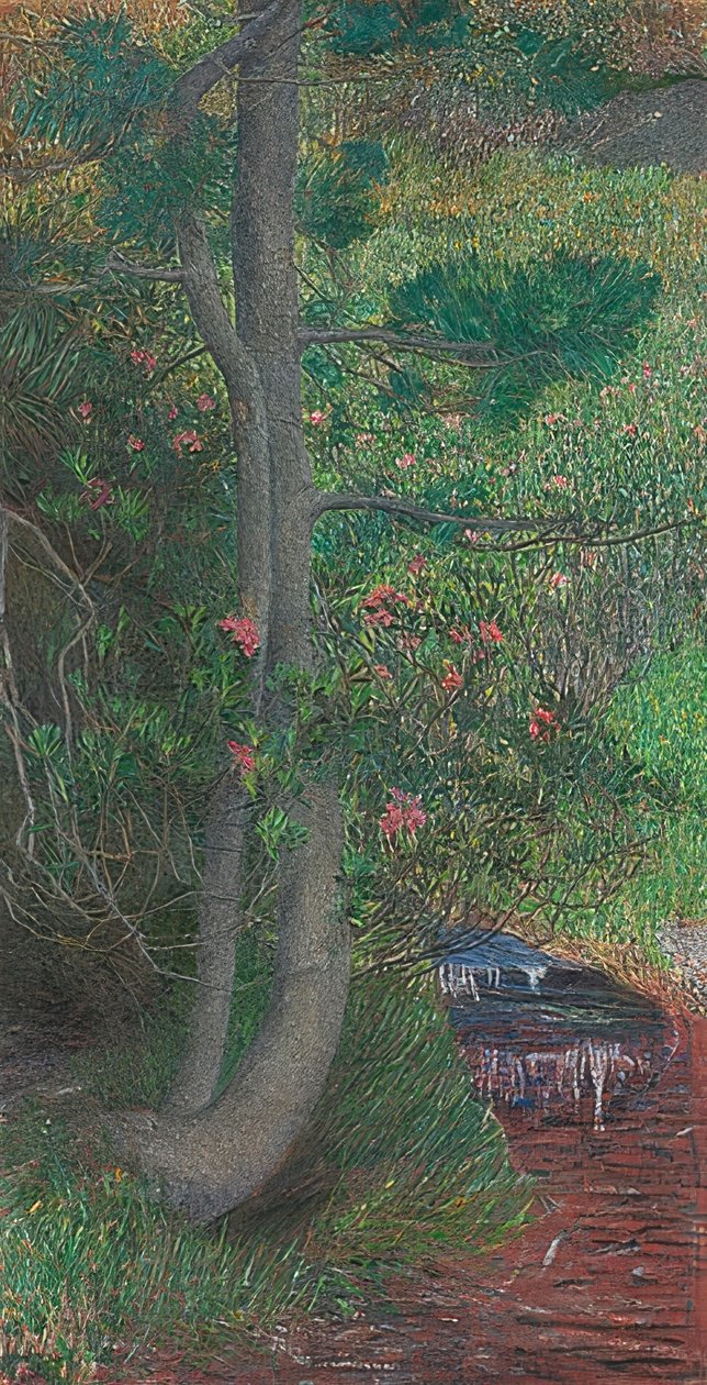 Pine Tree. Around 1897 by Giovanni Segantini