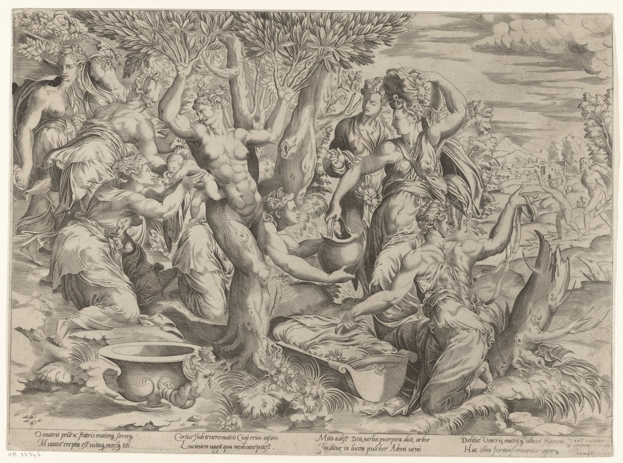 Birth of Adonis by Girolamo Fagiuoli (attributed to)