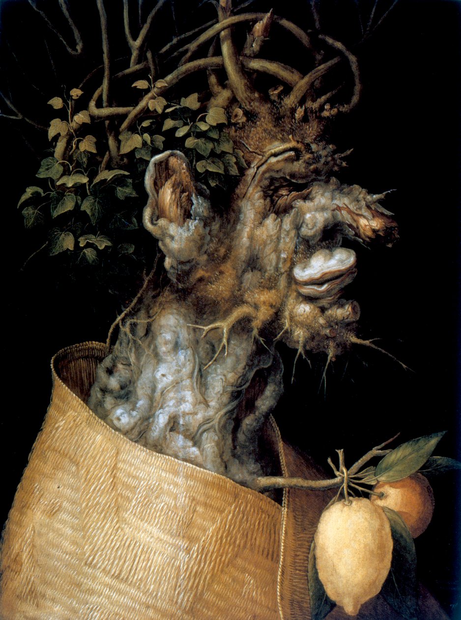 Winter, 1563 by Giuseppe Arcimboldi