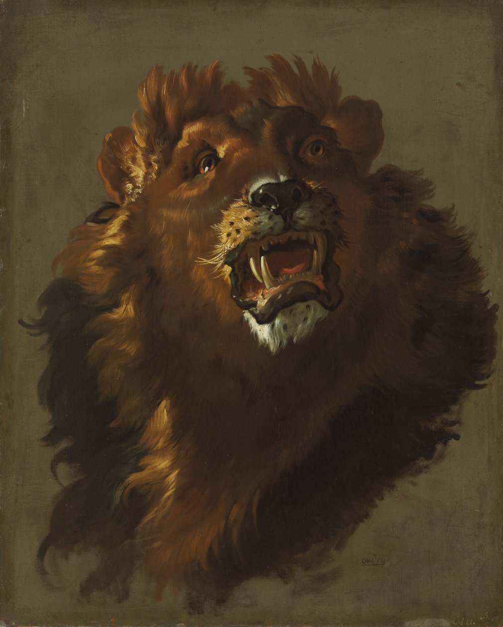 Lion by Giuseppe Baldrighi