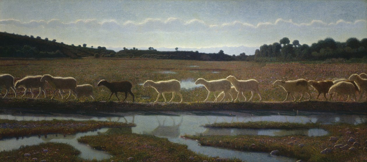 The Mirror of Life by Giuseppe Pellizza da Volpedo