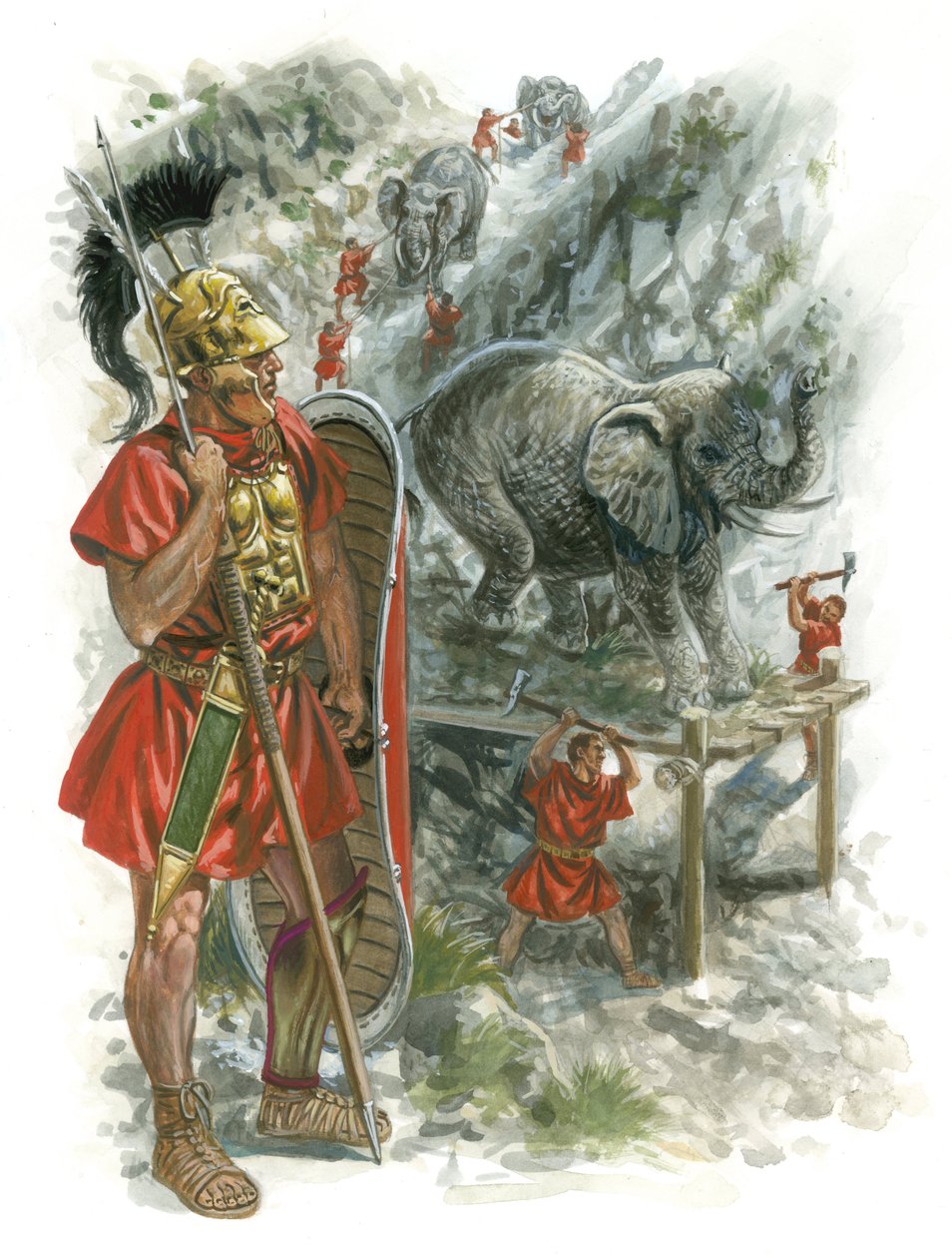 Macedonian Wars of Rome by Giuseppe Rava