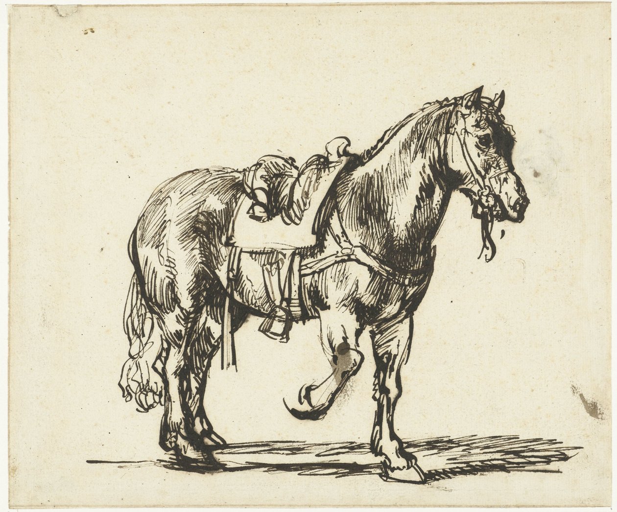 Horse of the Good Samaritan by Govert Flinck