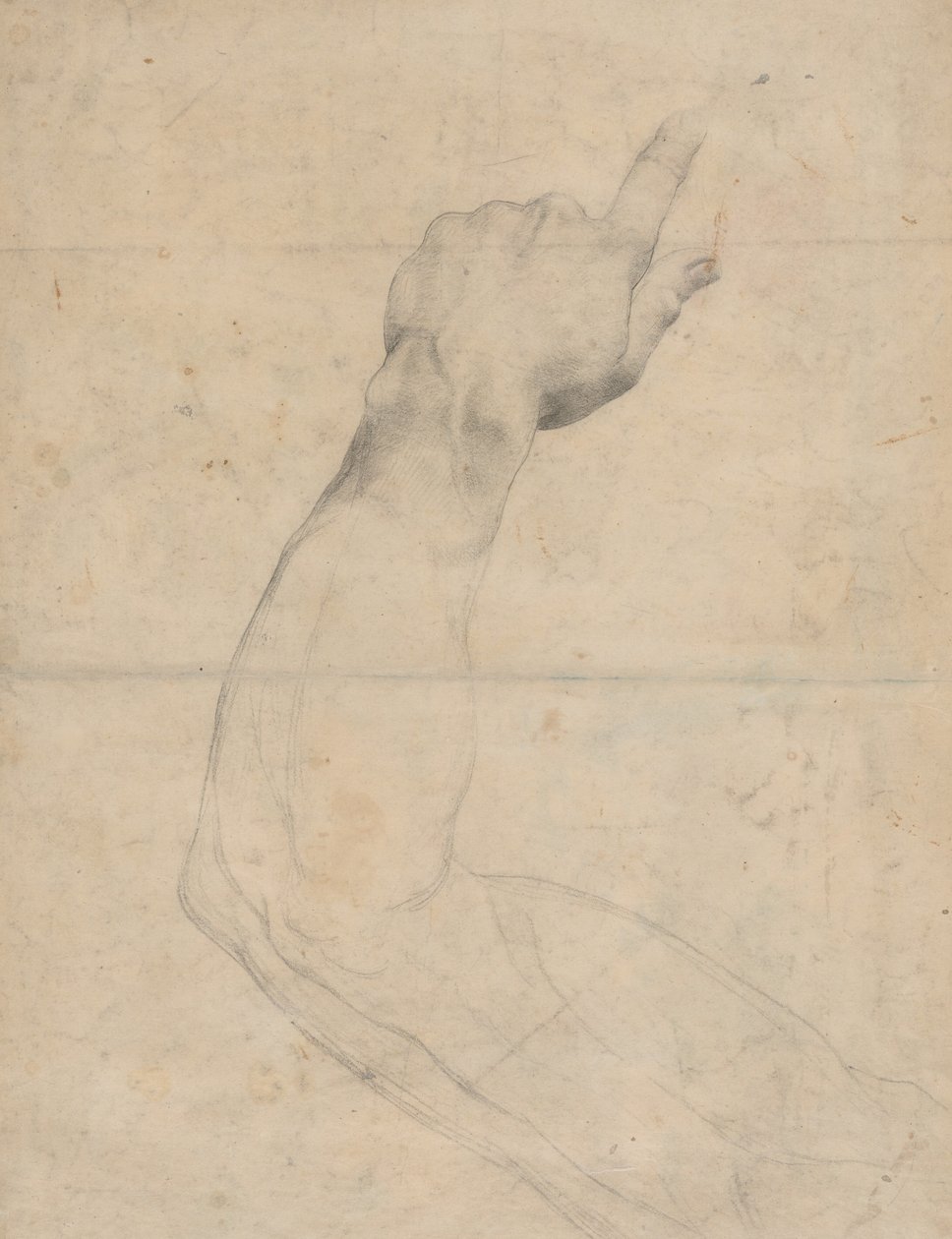 Study of an Arm by Guillaume Lethiere