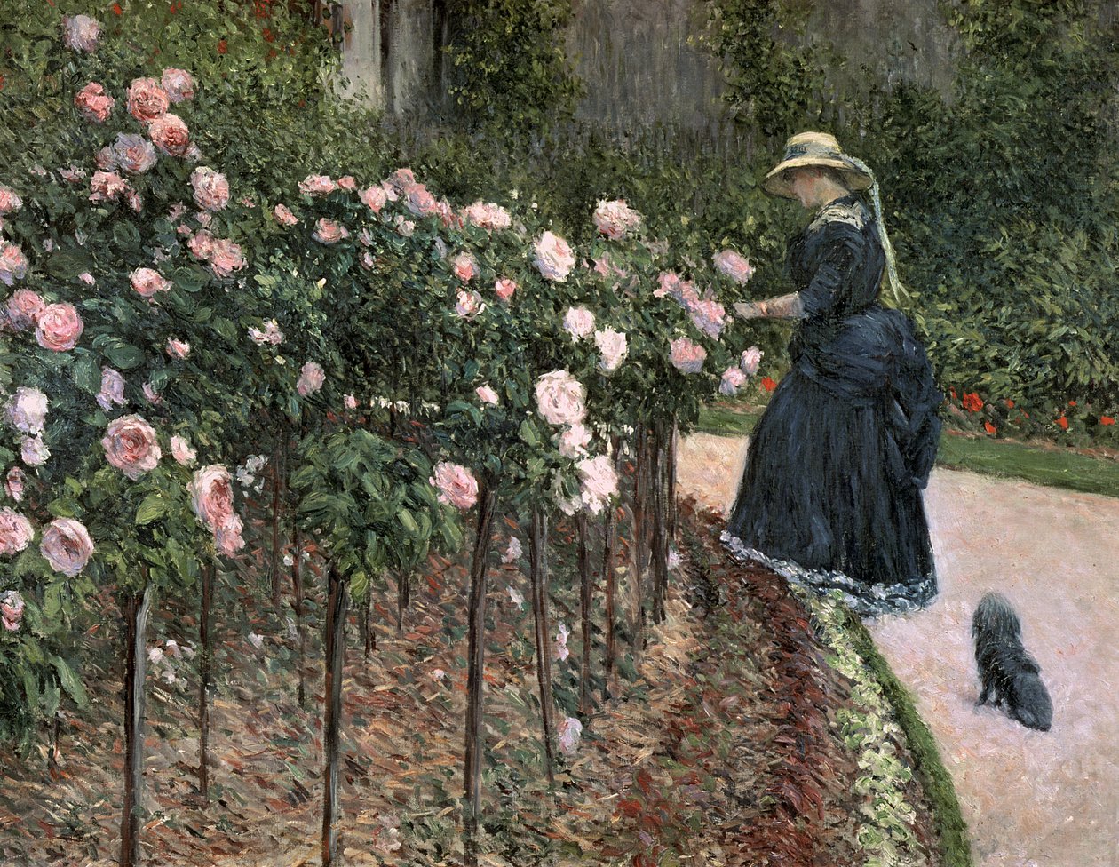 Roses in the Garden at Petit Gennevilliers by Gustave Caillebotte