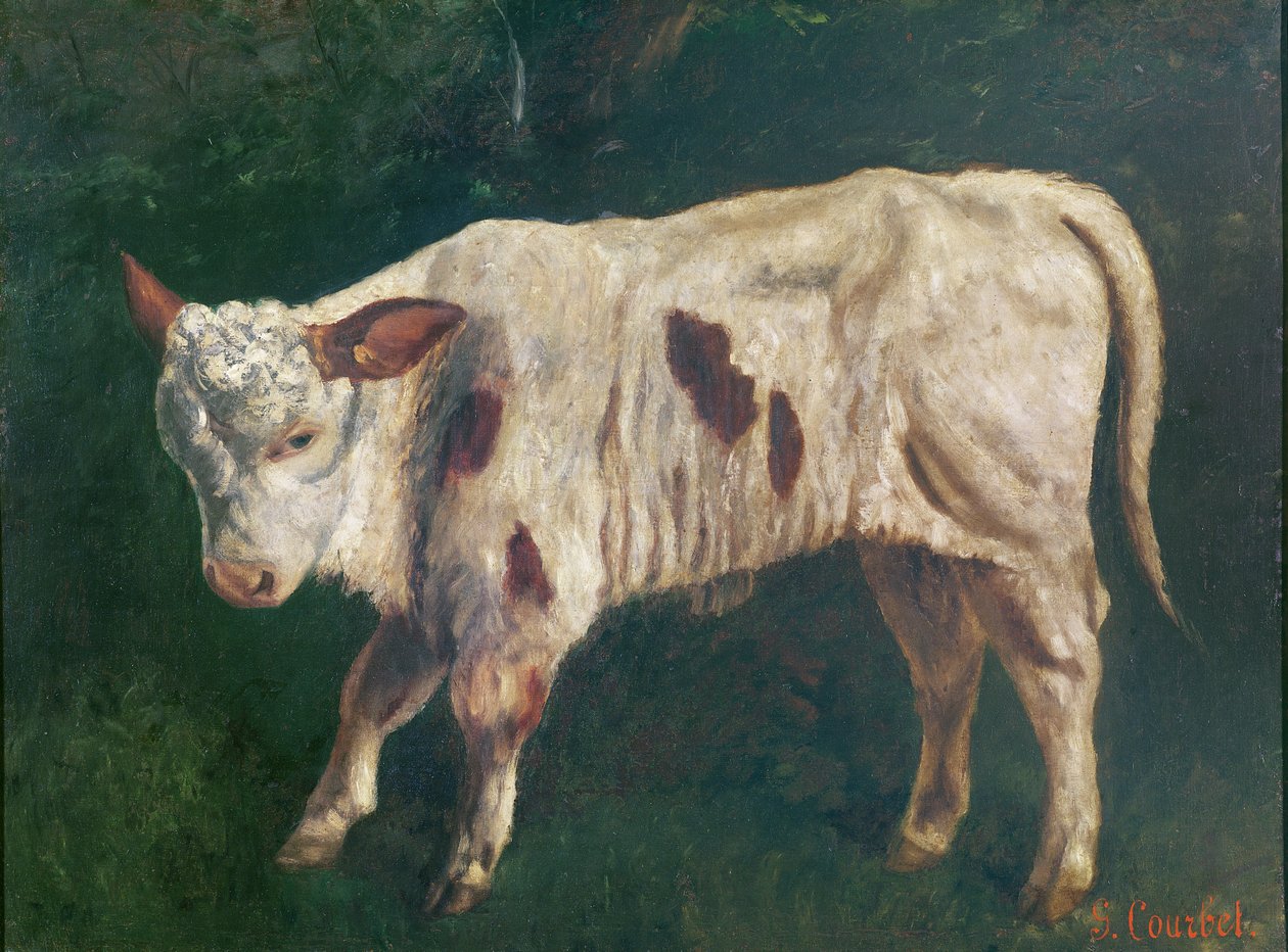 A Calf by Gustave Courbet