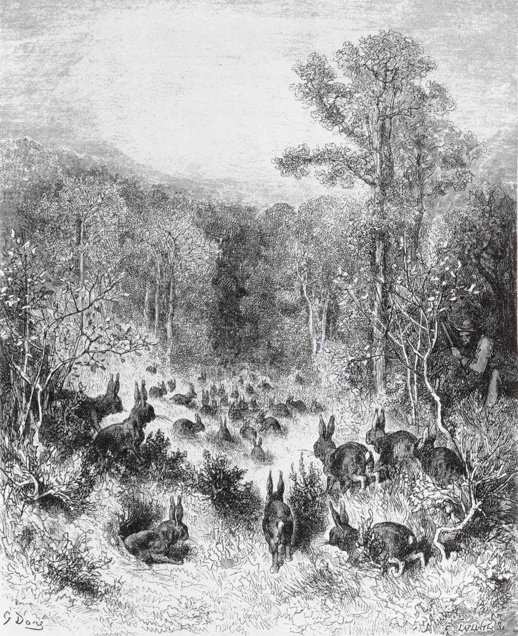 The Rabbits, Illustration from 