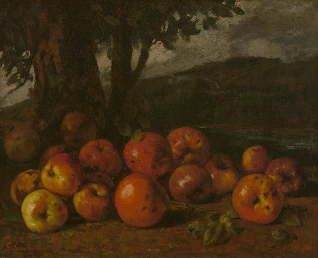 Still Life with Apples, 1872 by Gustave Courbet