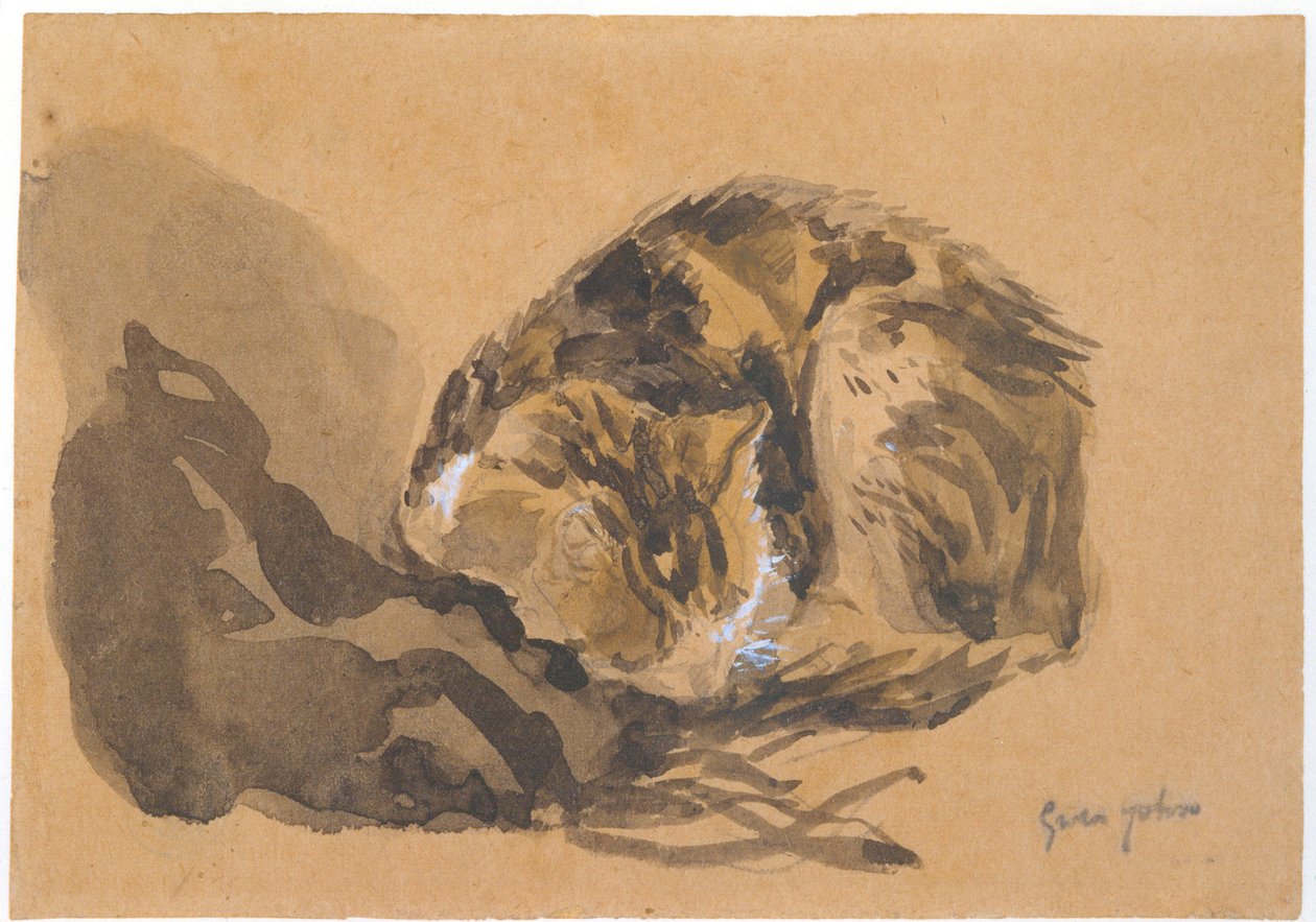 Study of a Cat by Gwen John