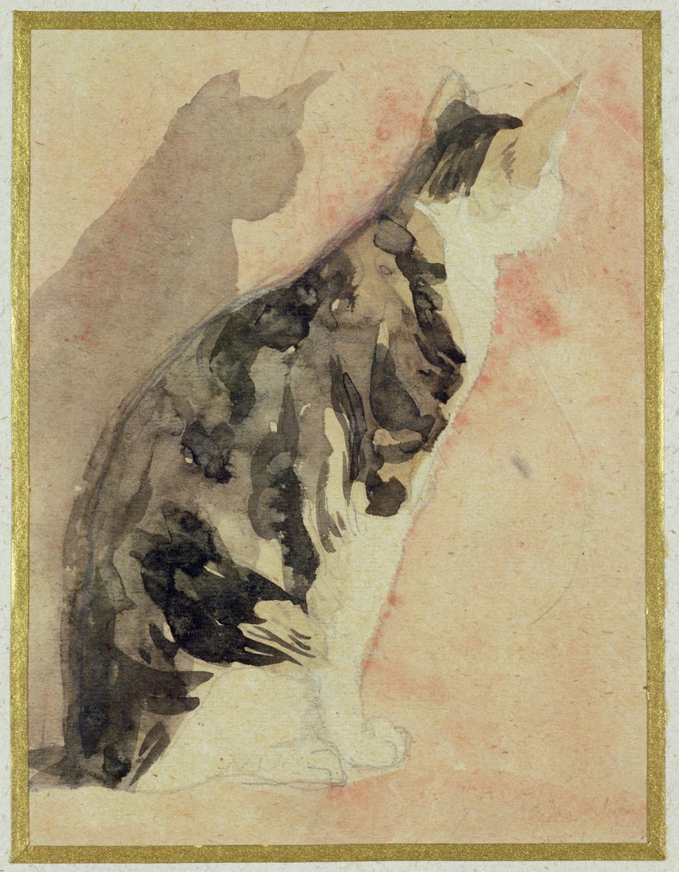 Study of a Cat by Gwen John