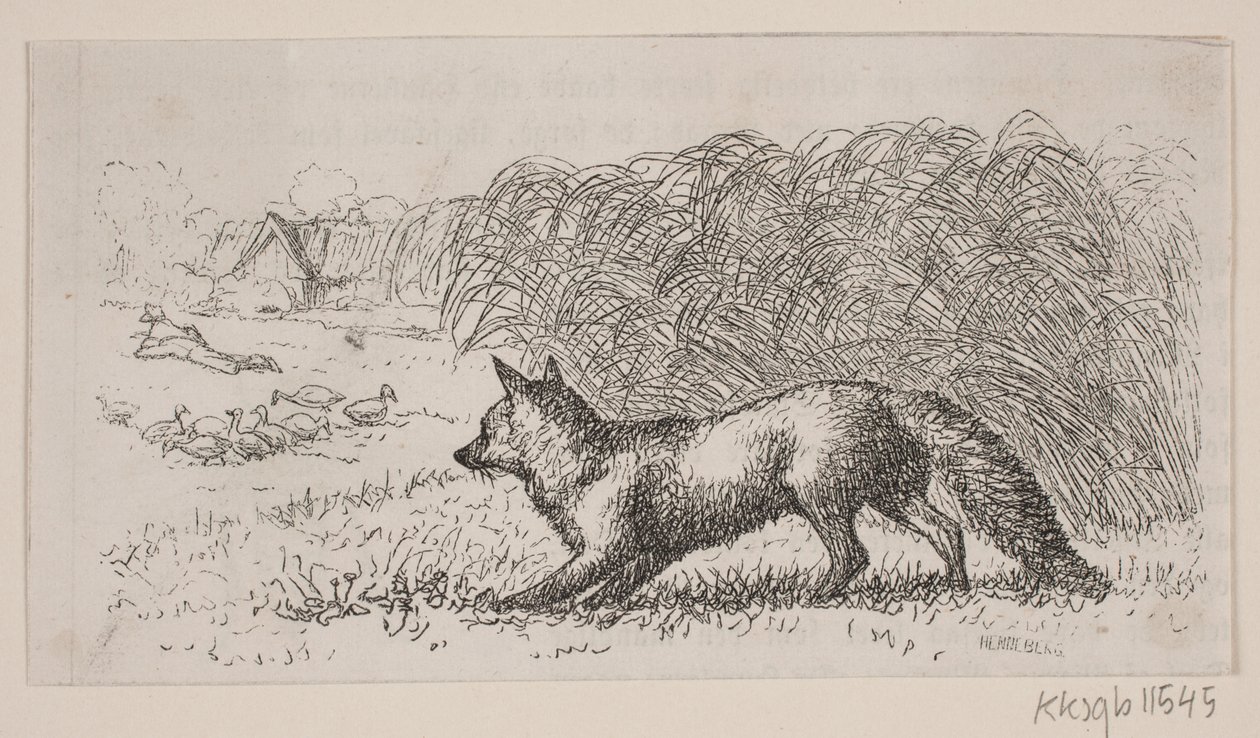 Illustration for 