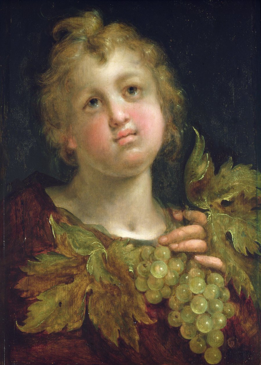 Boy with a bunch of grapes by Hans von Aachen