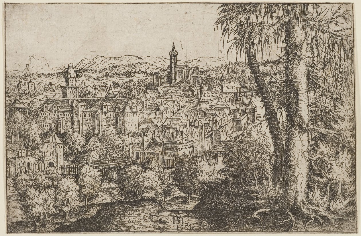 View of Steyr on the Enns by Hans Sebald Lautensack
