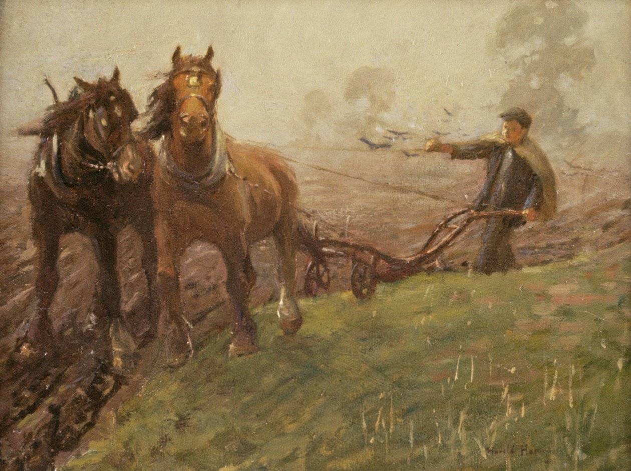 Man Ploughing a Field by Harold Harvey