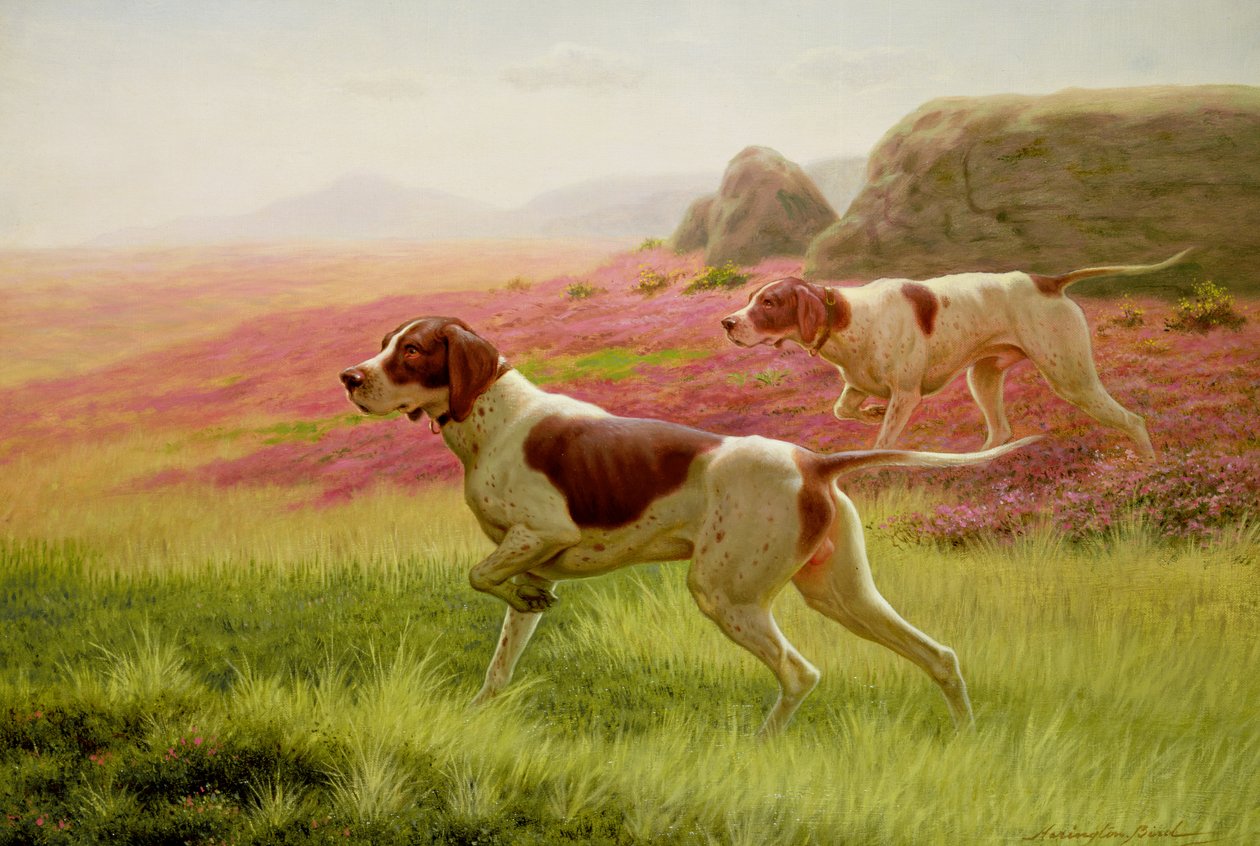 Pointers in a Landscape by Harrington Bird