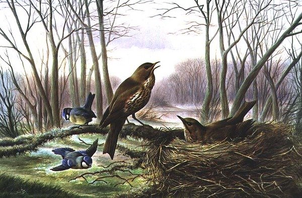 The Herald of Spring by Harry Bright