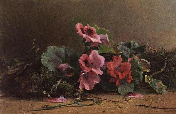 A Study of Geraniums by Hector Caffieri