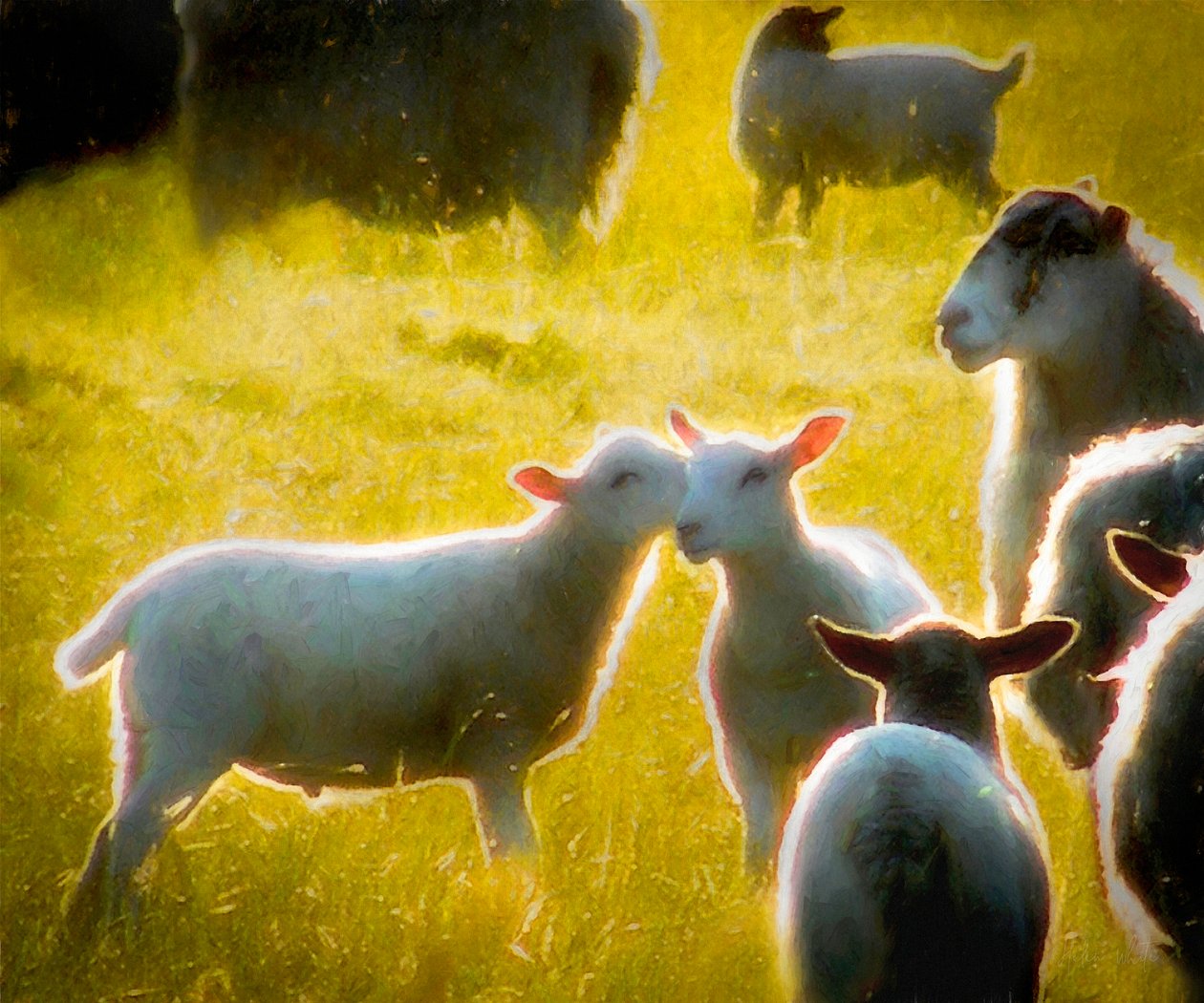 A Word in Your Ear by Helen White