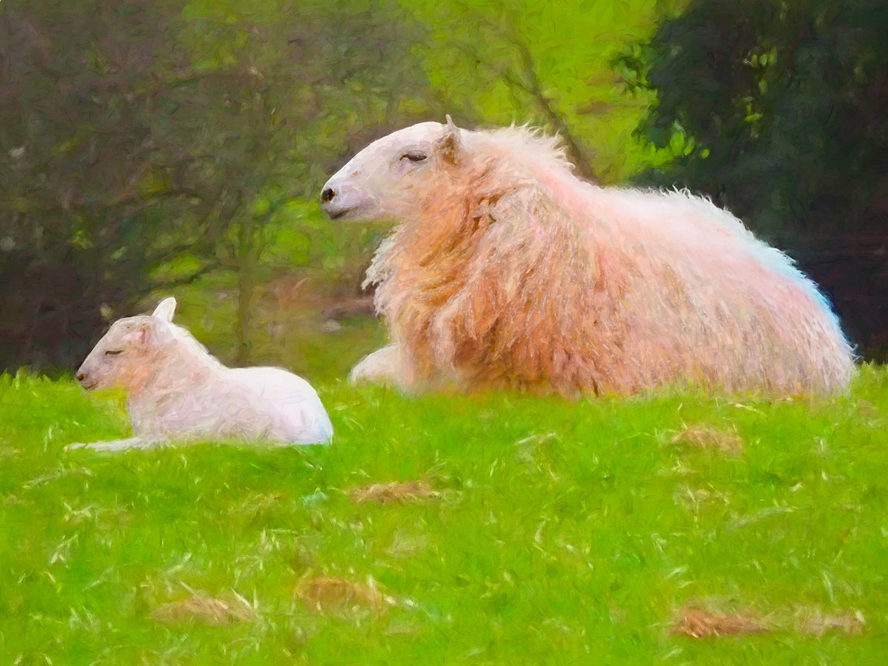 Contentment by Helen White
