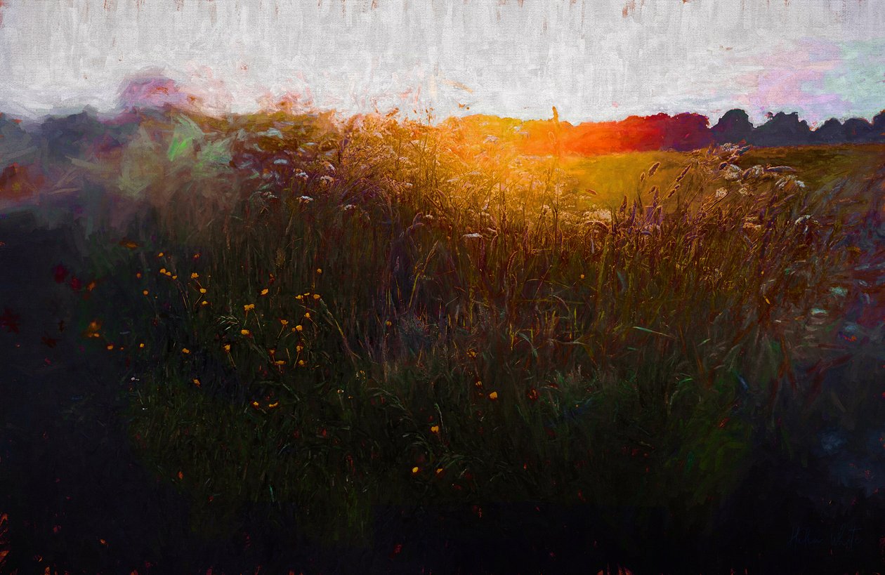 Midsummer Glow by Helen White