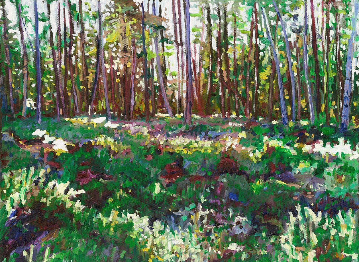 Sunlight on Heather by Helen White