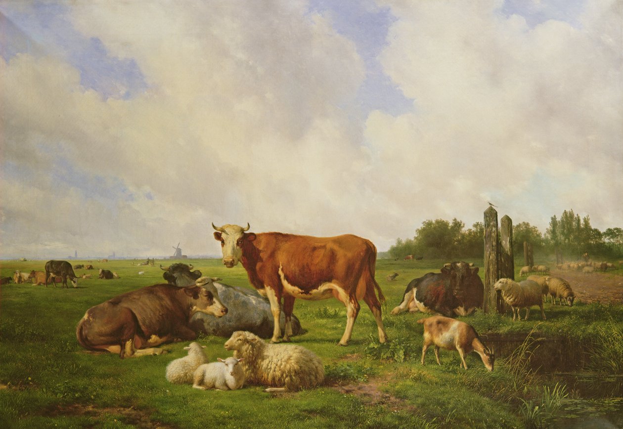Sheep and Cattle in a Field by Hendrick van de Sande Bakhuyzen