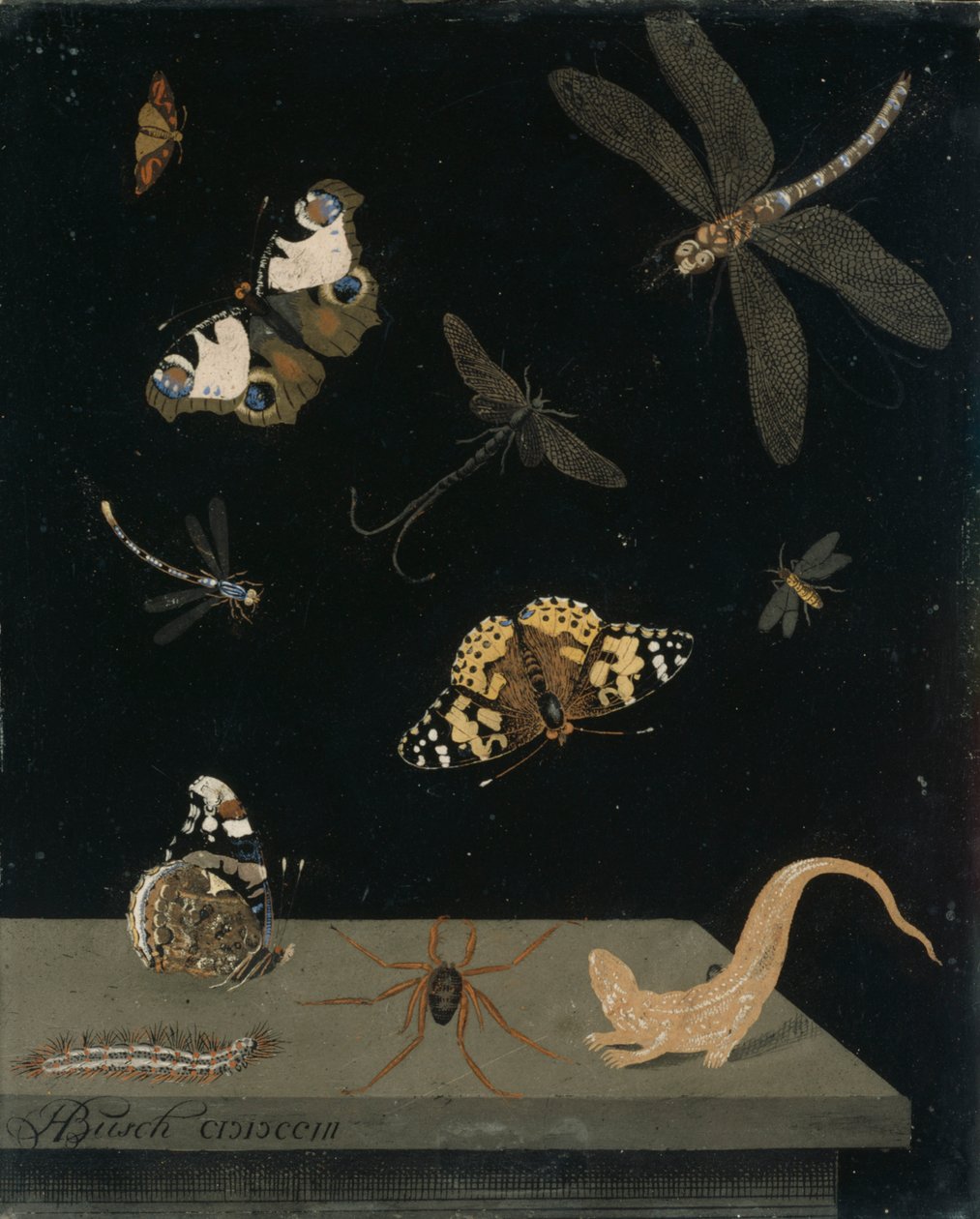 Scagolia Panel with Insects and a Salamander, 1703 by Hendrik Busch