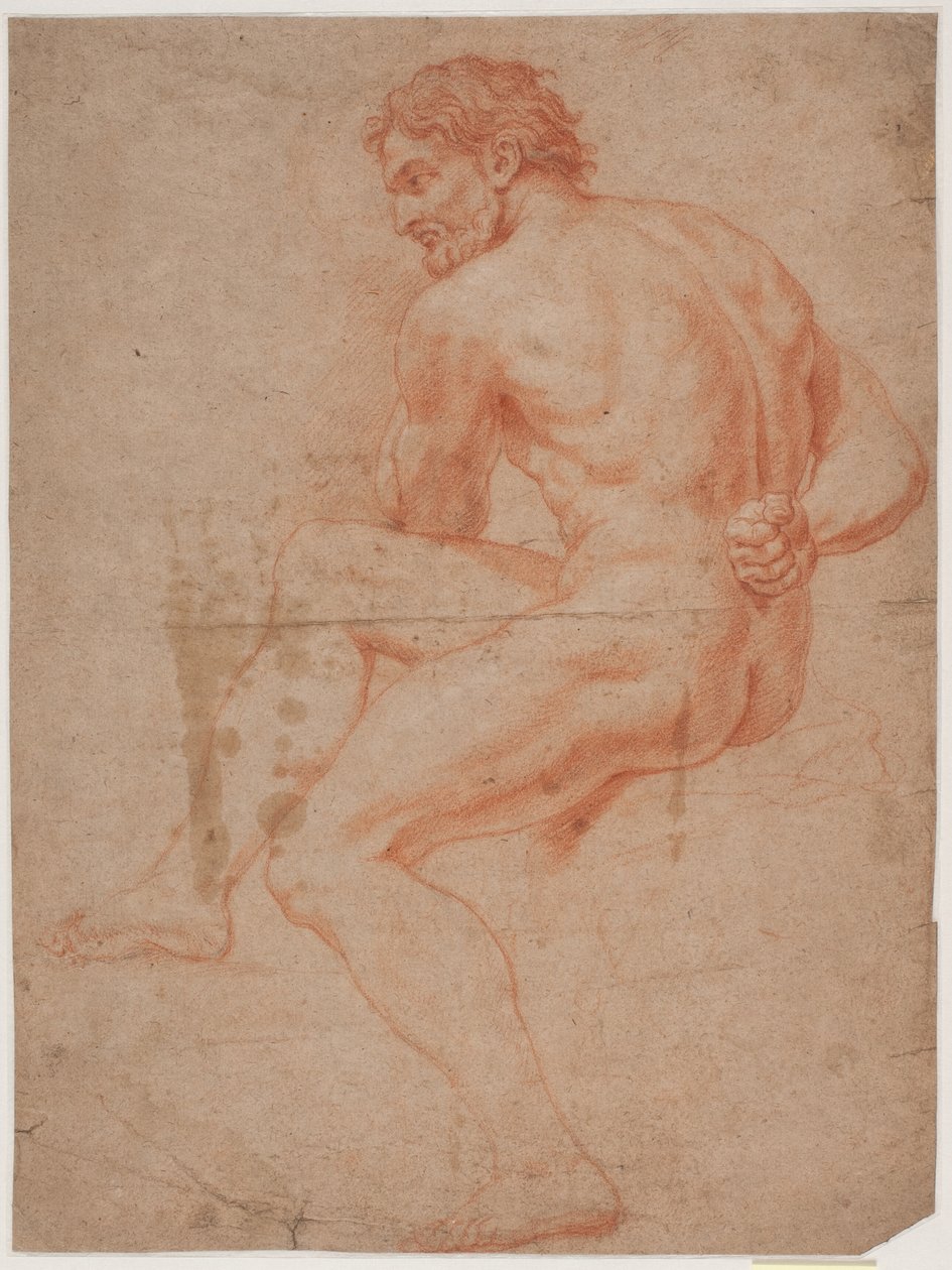 Male Model Study by Hendrik Krock
