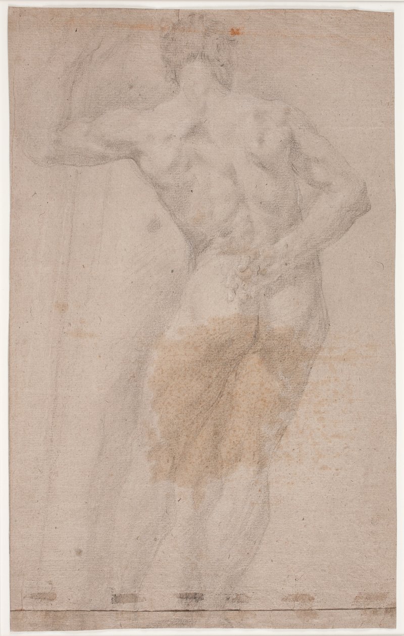 Male Model Study Seen from Behind by Hendrik Krock