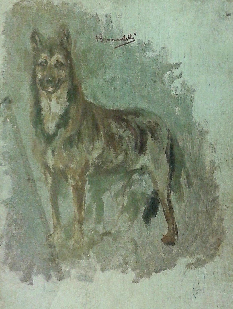 Study of an Animal (Dog) by Henrique Bernardelli