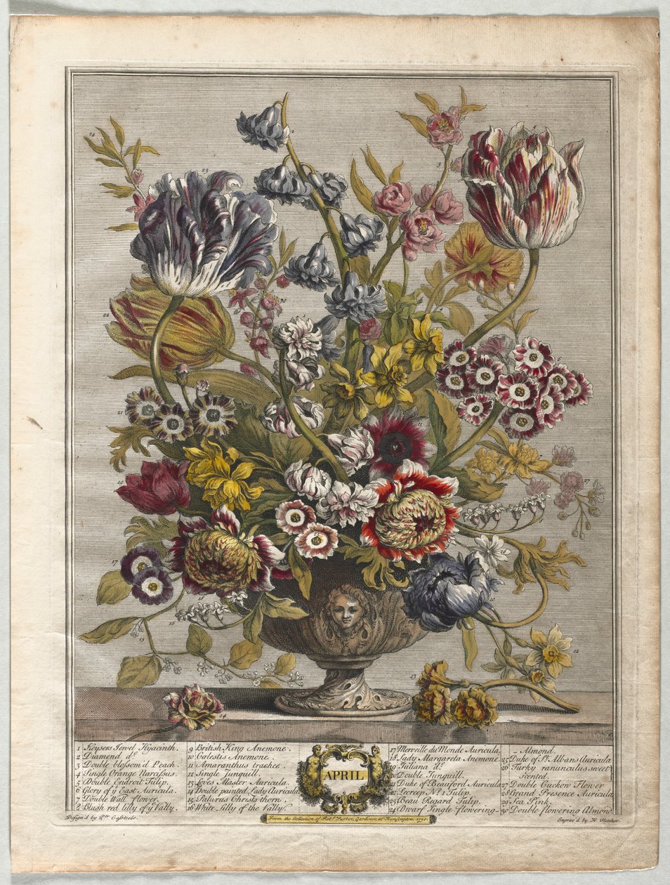 Twelve Months of Flowers: April by Henry Fletcher