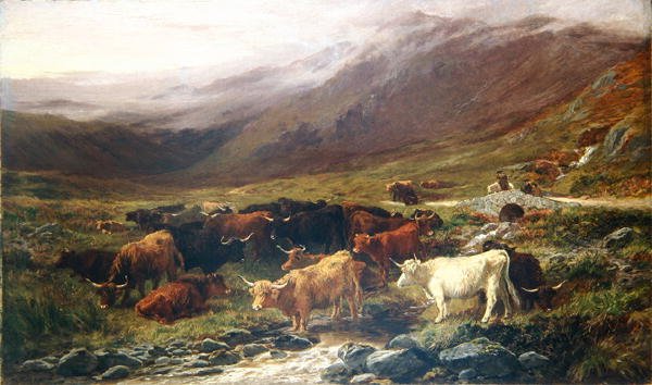 Cows in the Highlands by Henry Garland
