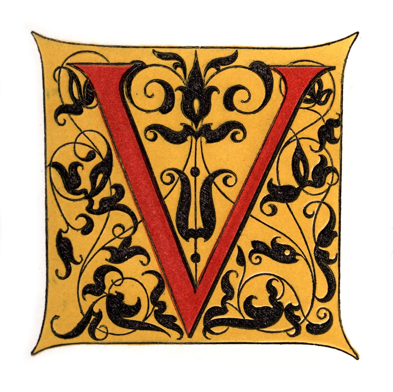 Initial Letter V by Henry Shaw