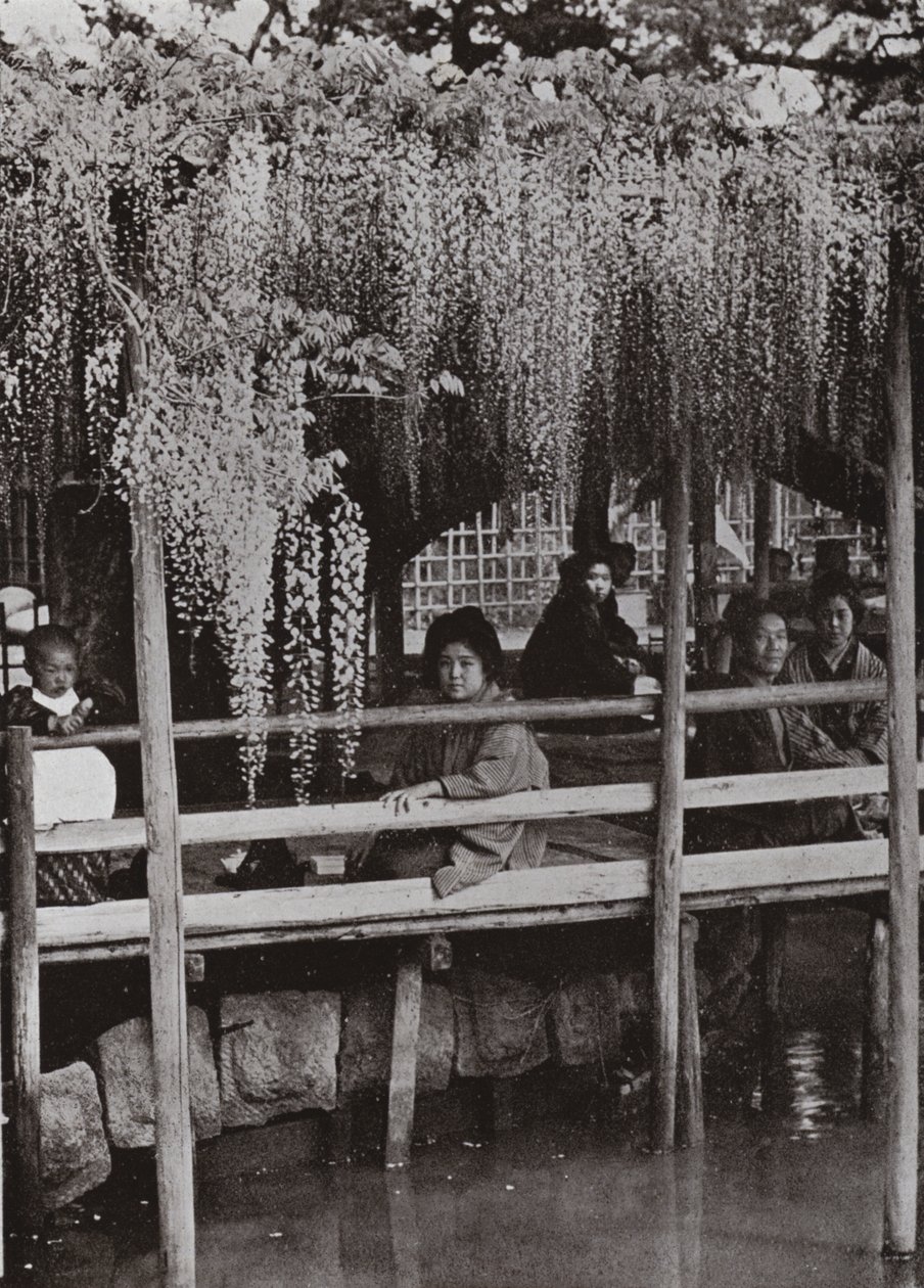 A Wistaria Arbour at Kameido by Herbert Ponting