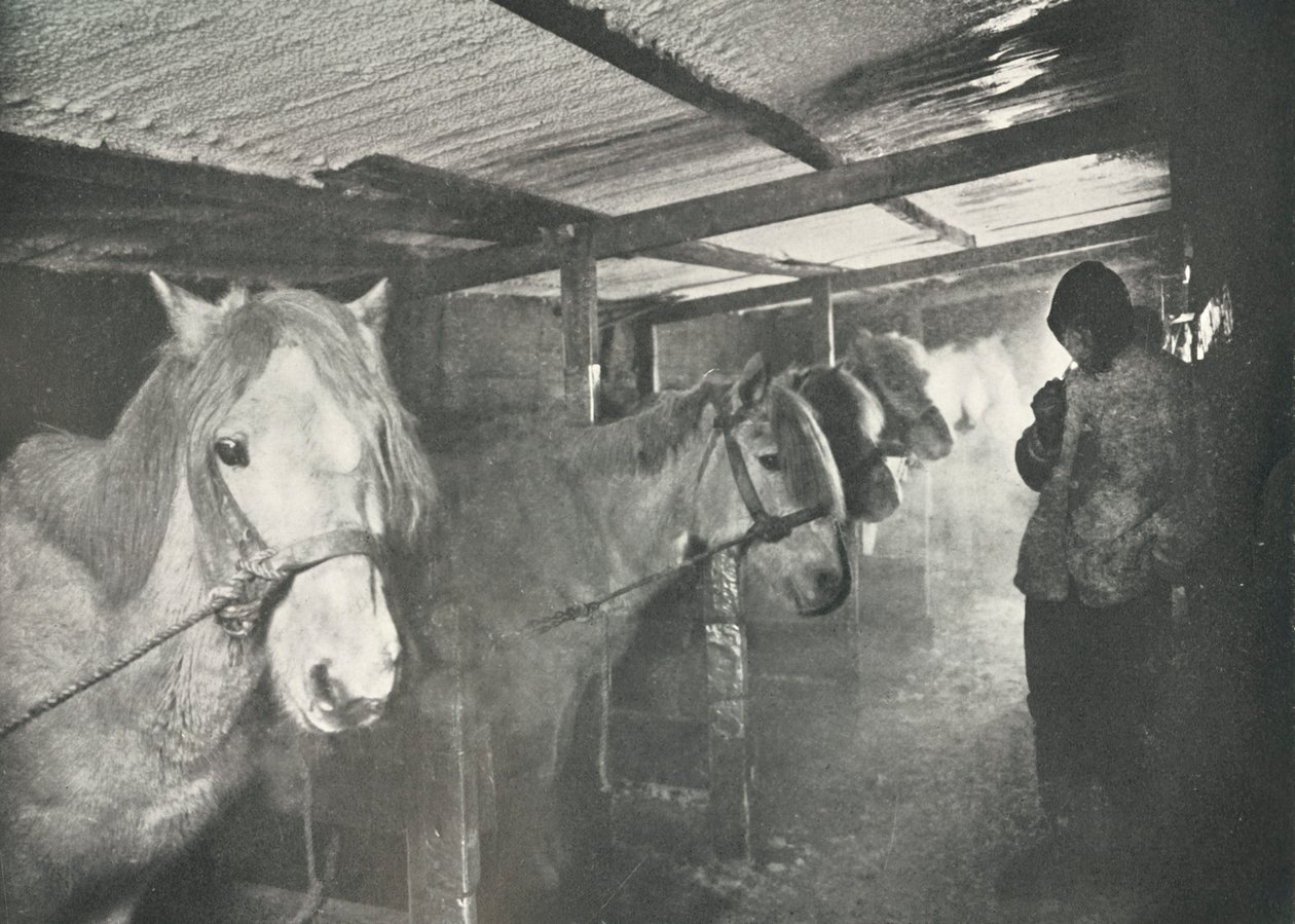 The Stables in Winter by Herbert Ponting