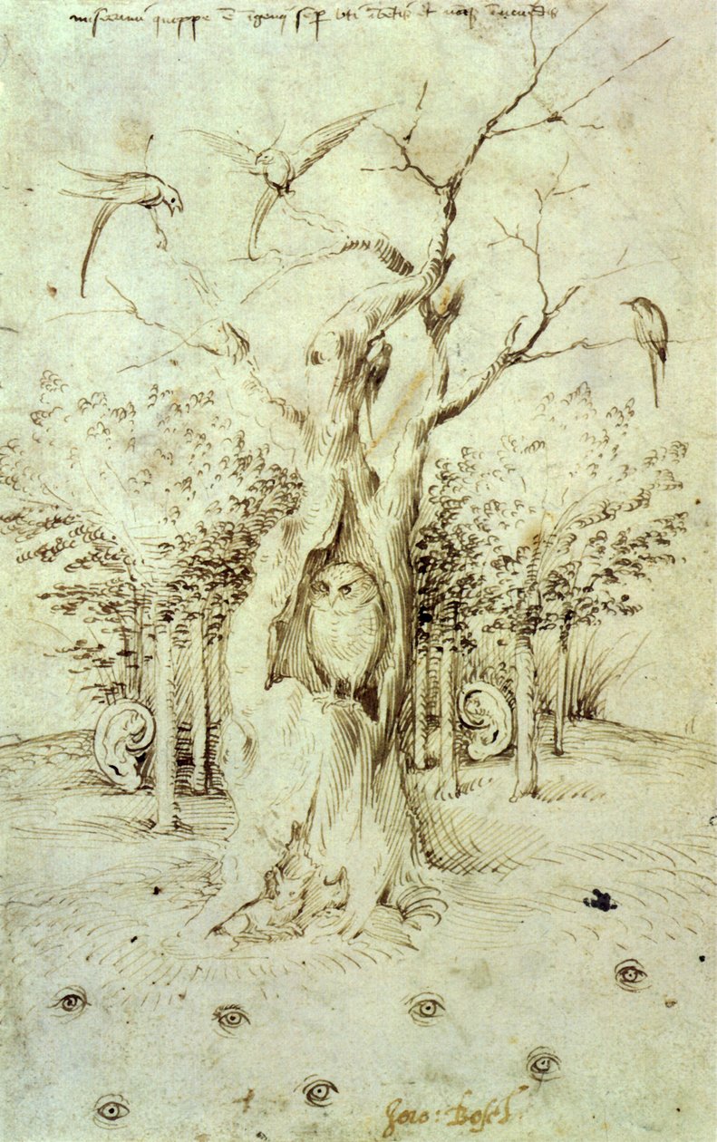 The Forest that Hears and the Field that Sees by Hieronymus Bosch