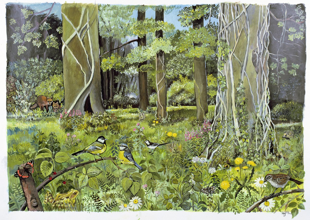Behind the Squires, Devon by Hilary Jones