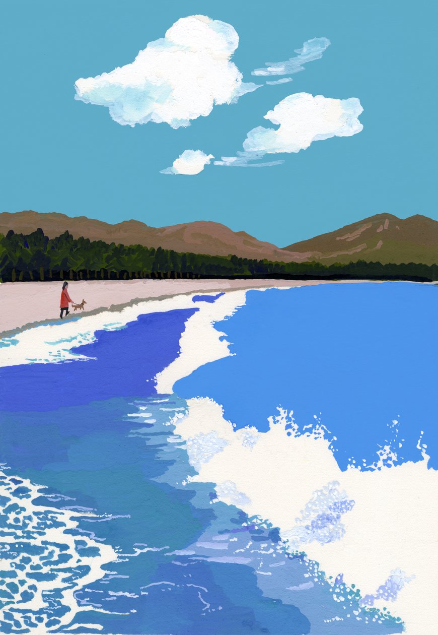 Beach and Pine Forest by Hiroyuki Izutsu