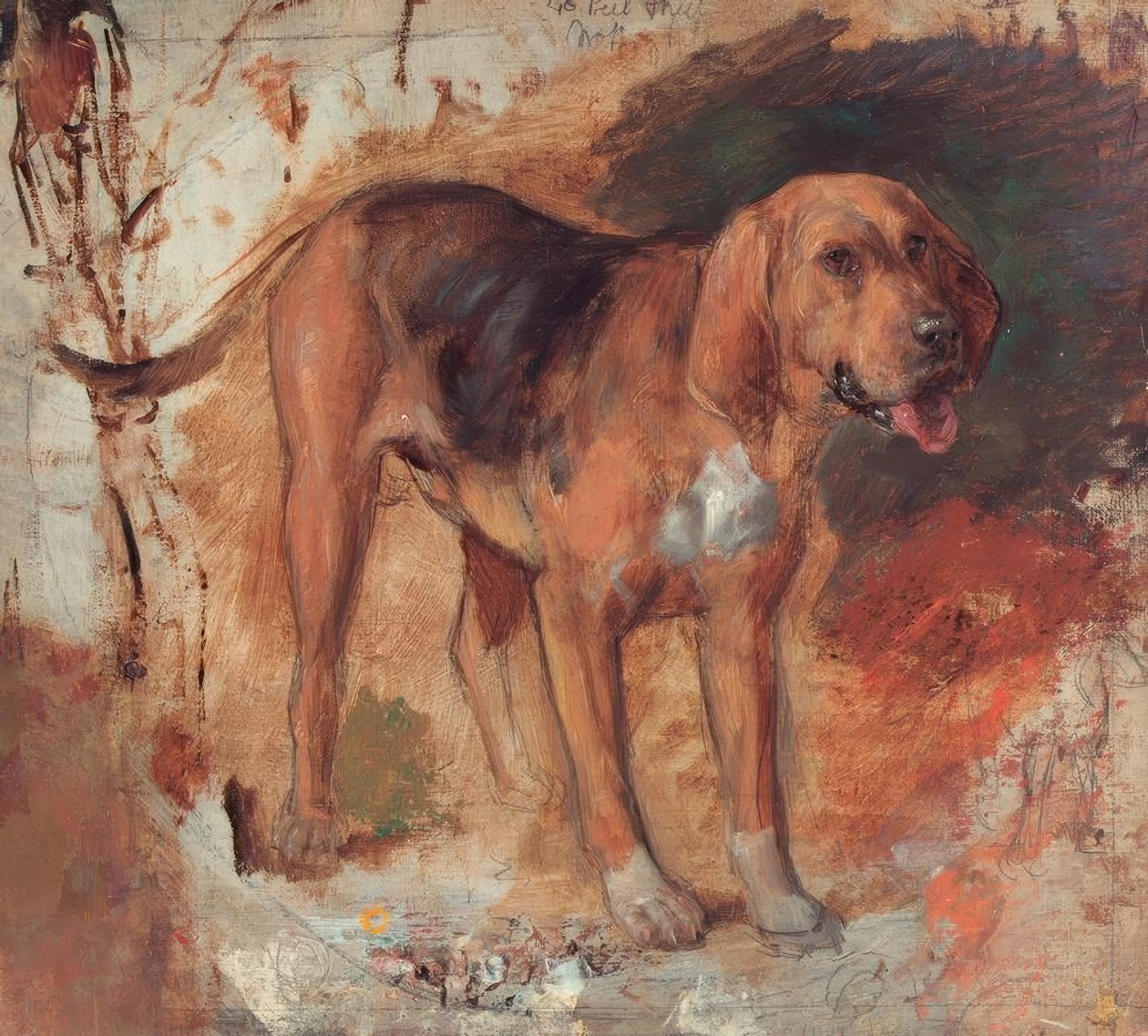 Study of a Bloodhound by Holman Hunt