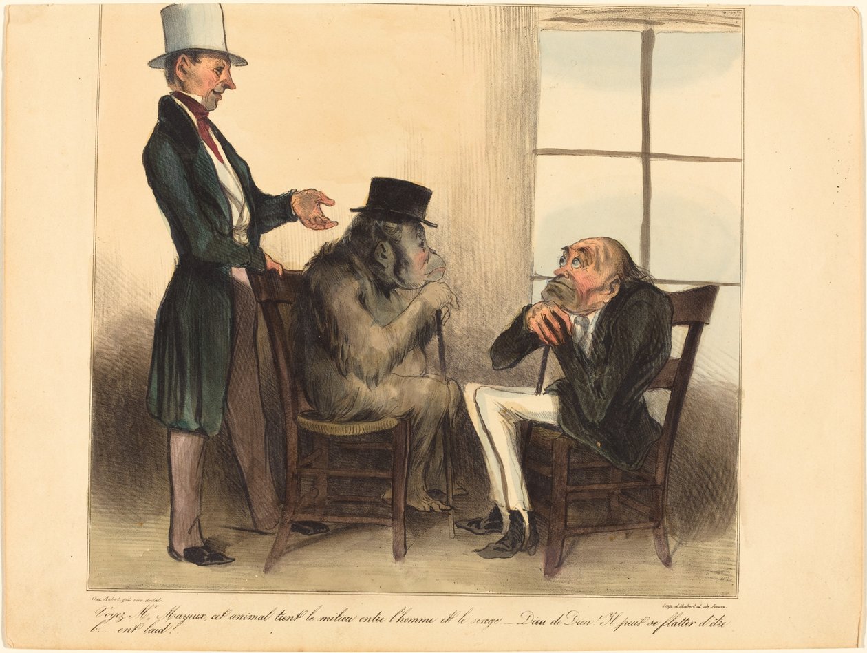 Look, Mr. Mayeux, This Animal... by Honoré Daumier