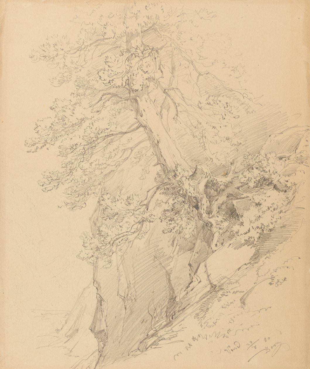 Tree Study by Ignaz Dorn