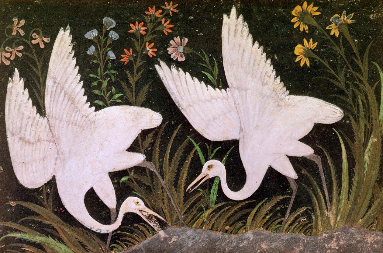 Two Cranes on the Edge of a Pond by Indian School