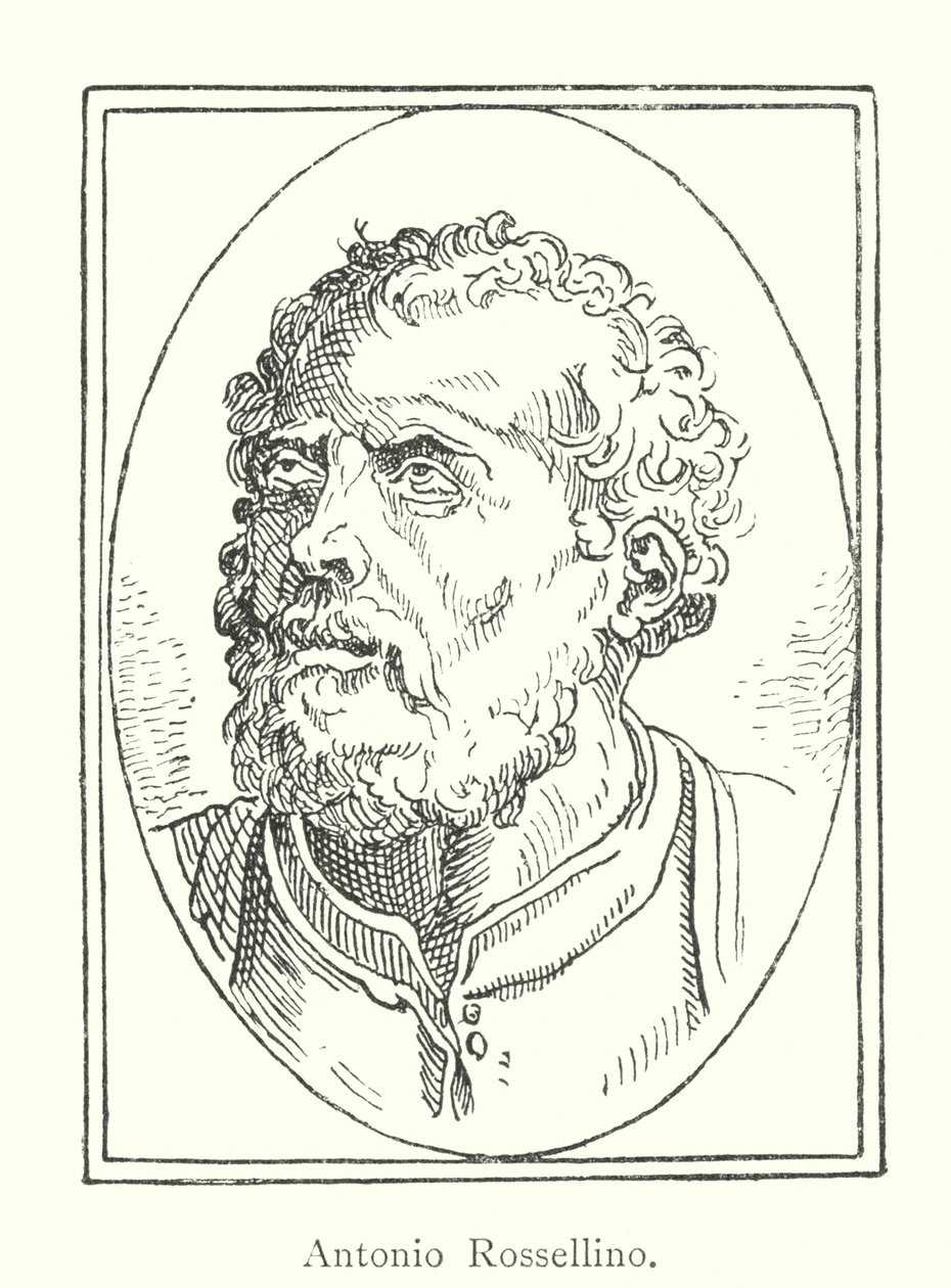 Antonio Rossellino (engraving) by Italian School