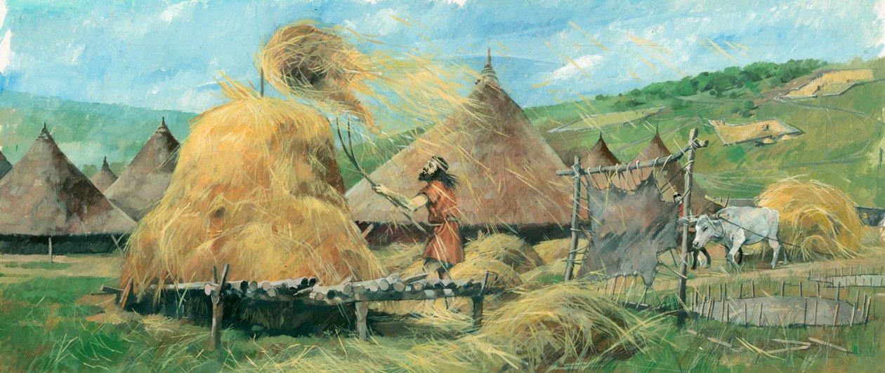 Grimspound, Bronze Age, c1990-2010 by Ivan Lapper