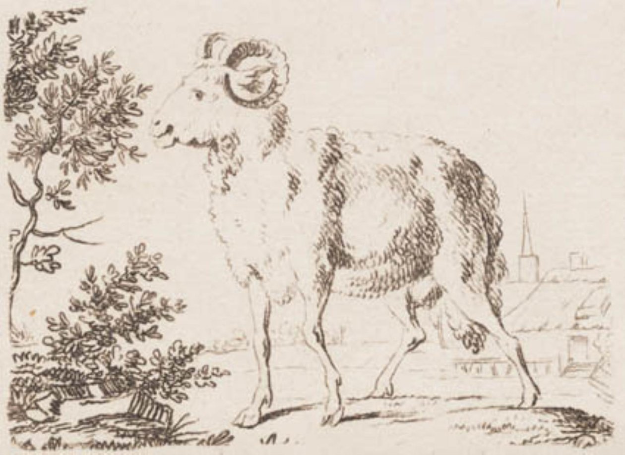 A Ram by J.F. Clemens